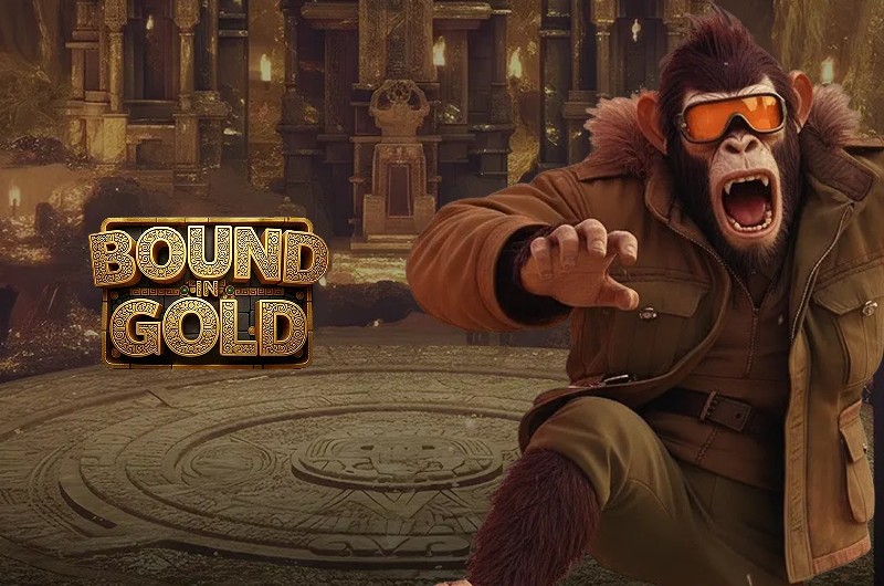 BitcoinCasinoVIP Bound in Gold